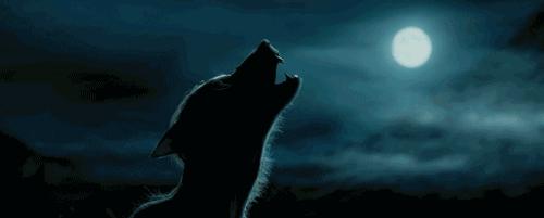 原来狼人可没有你想的那么浪漫，坏事做多了才会变成“狼人”！