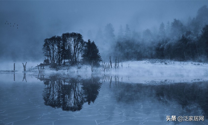 喜临门和曲美家居哪个好,曲美家居越来越高级了