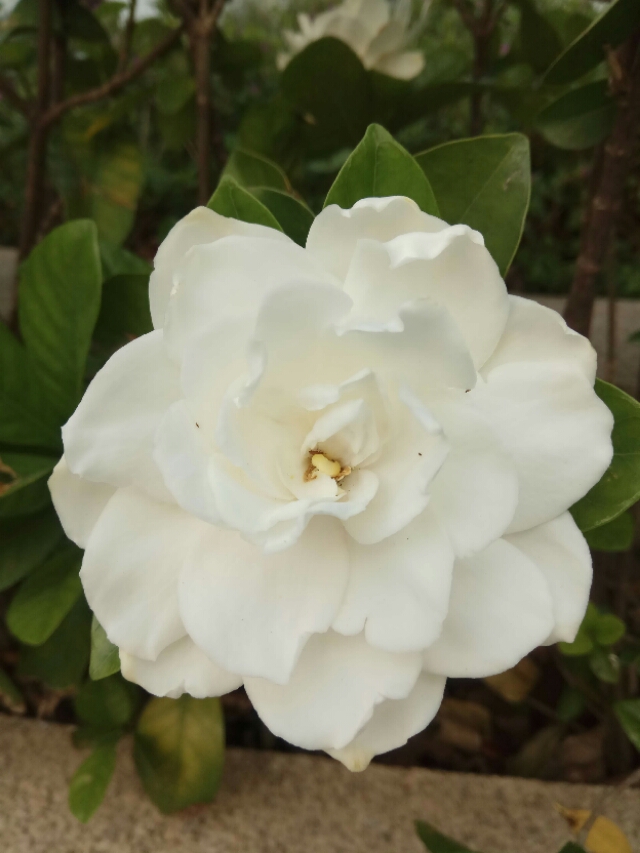 淘宝微店在哪,微店哪家店比较靠谱