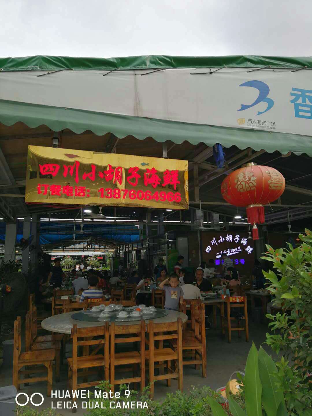 我的海南之旅作文,从海口到三亚感受海南的无限魅力