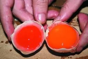 舌尖上的安全视频5,舌尖上的安全内容