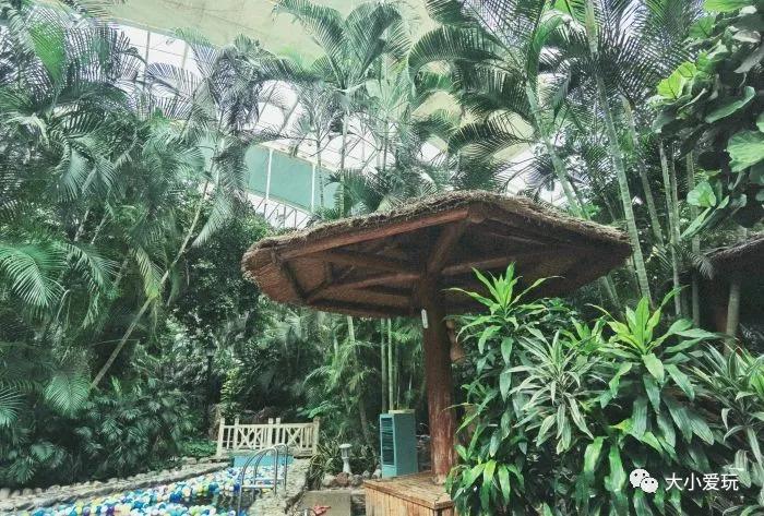 最适合带孩子去的亲子温泉,儿童玩的温泉推荐