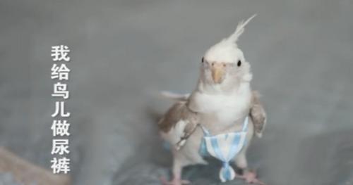 又一中国制造在国外火了，你想象不到的脑洞