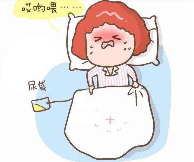 剖腹产导尿管的正确插法,剖腹产导尿管一般插在哪