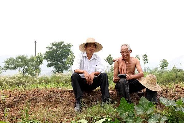 农民包地需要缴税么,农村包地100亩一年多少钱