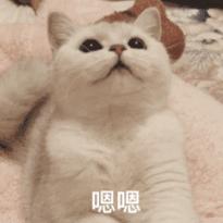 武汉大学对比华中科技大学,武汉大学和华中科技大学谁强