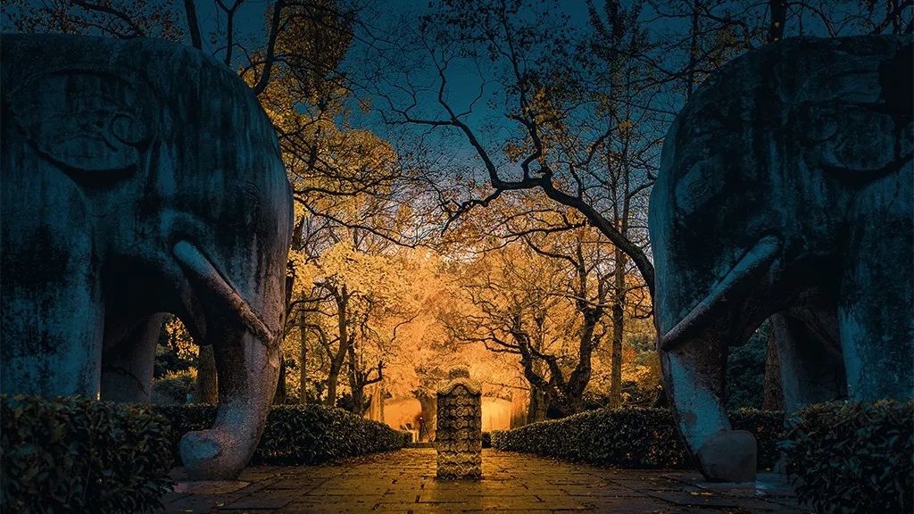 去了那么多次你真的了解南京吗,去了很多地方就会有阅历吗