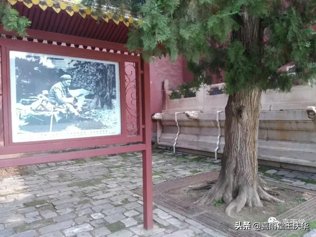 草原行蔚县,内蒙古草原行