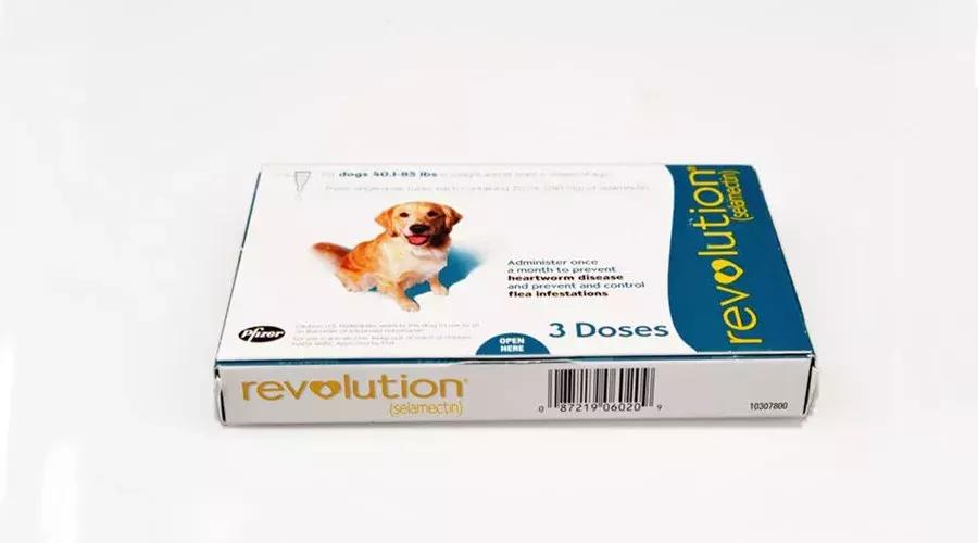 狗狗各种寄生虫的症状,狗狗常见的寄生虫