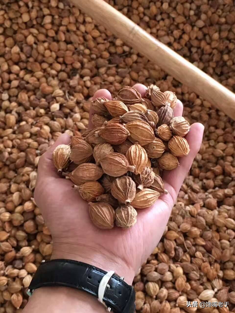 炖羊肉切记4大要点,炖羊肉千万别乱加大料