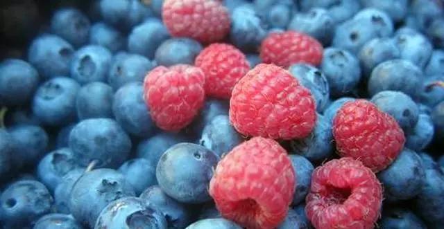 农村最赚钱的种植项目,农村致富好项目大全