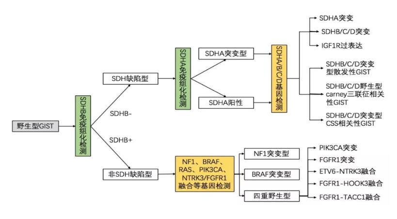基因检测靶向治疗真的有效果吗,长沙医院癌症靶向治疗基因检测