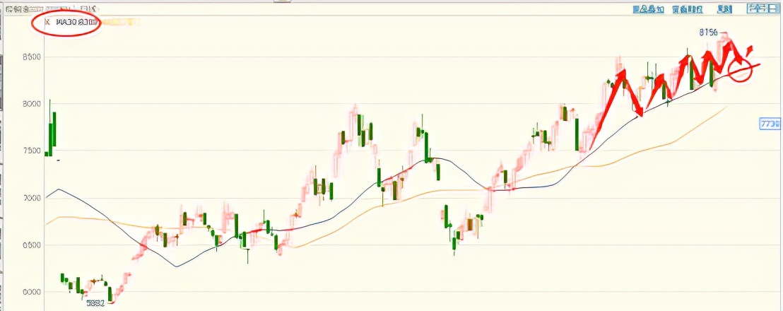棕榈油行情年度复盘——地狱级操作难度是如何练成的