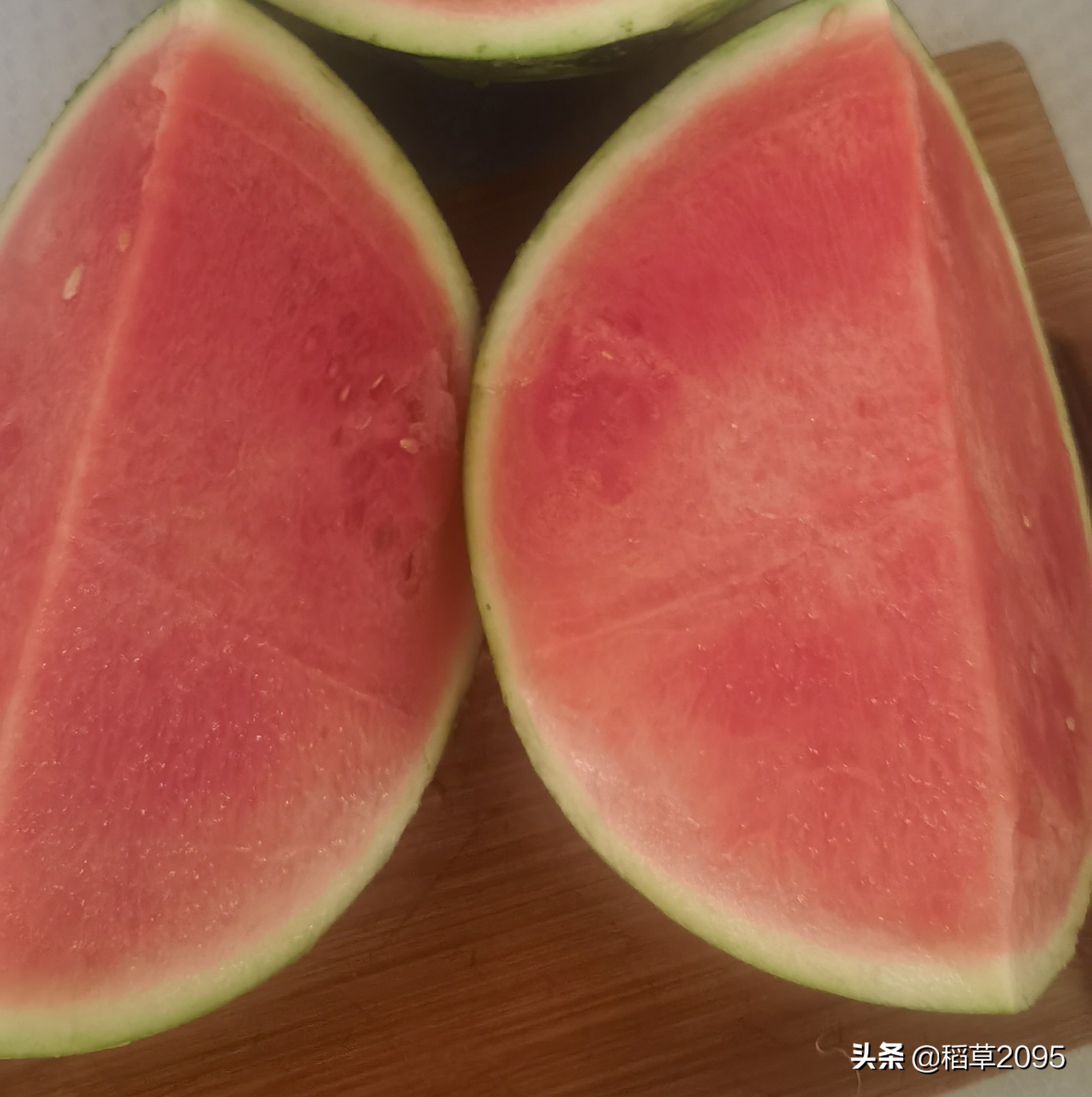 吃西瓜我是认真的更是专注的,吃瓜的最佳挑瓜方法