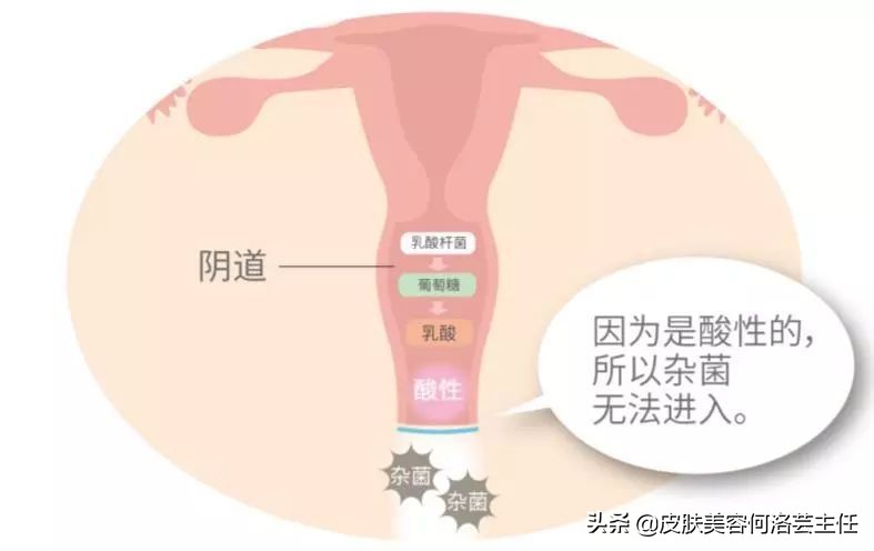 私密处如何正常清洗护理,私密处平常如何护理清洗