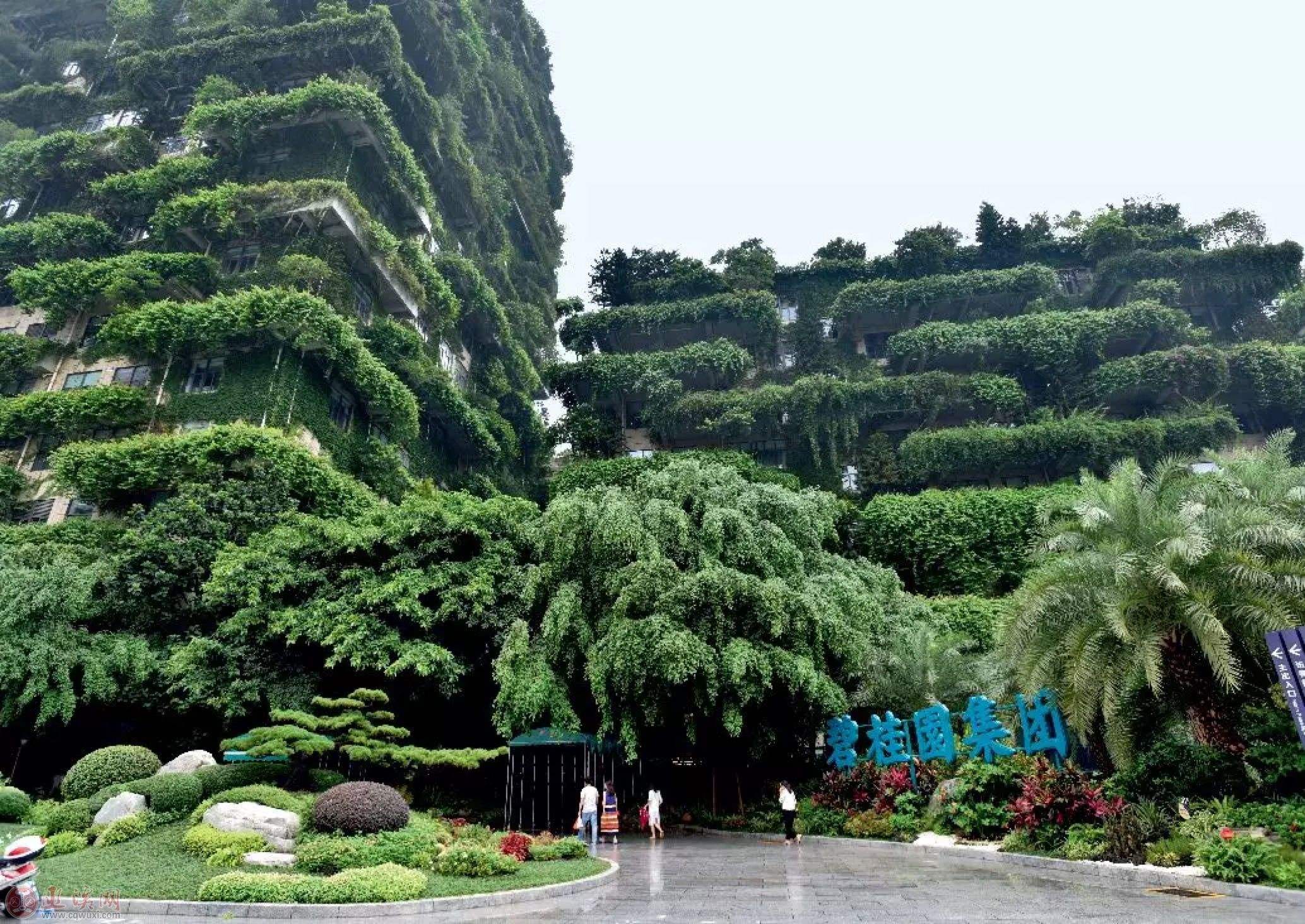 住在步梯4楼大家后悔吗,住在4楼真的有不好的说法吗