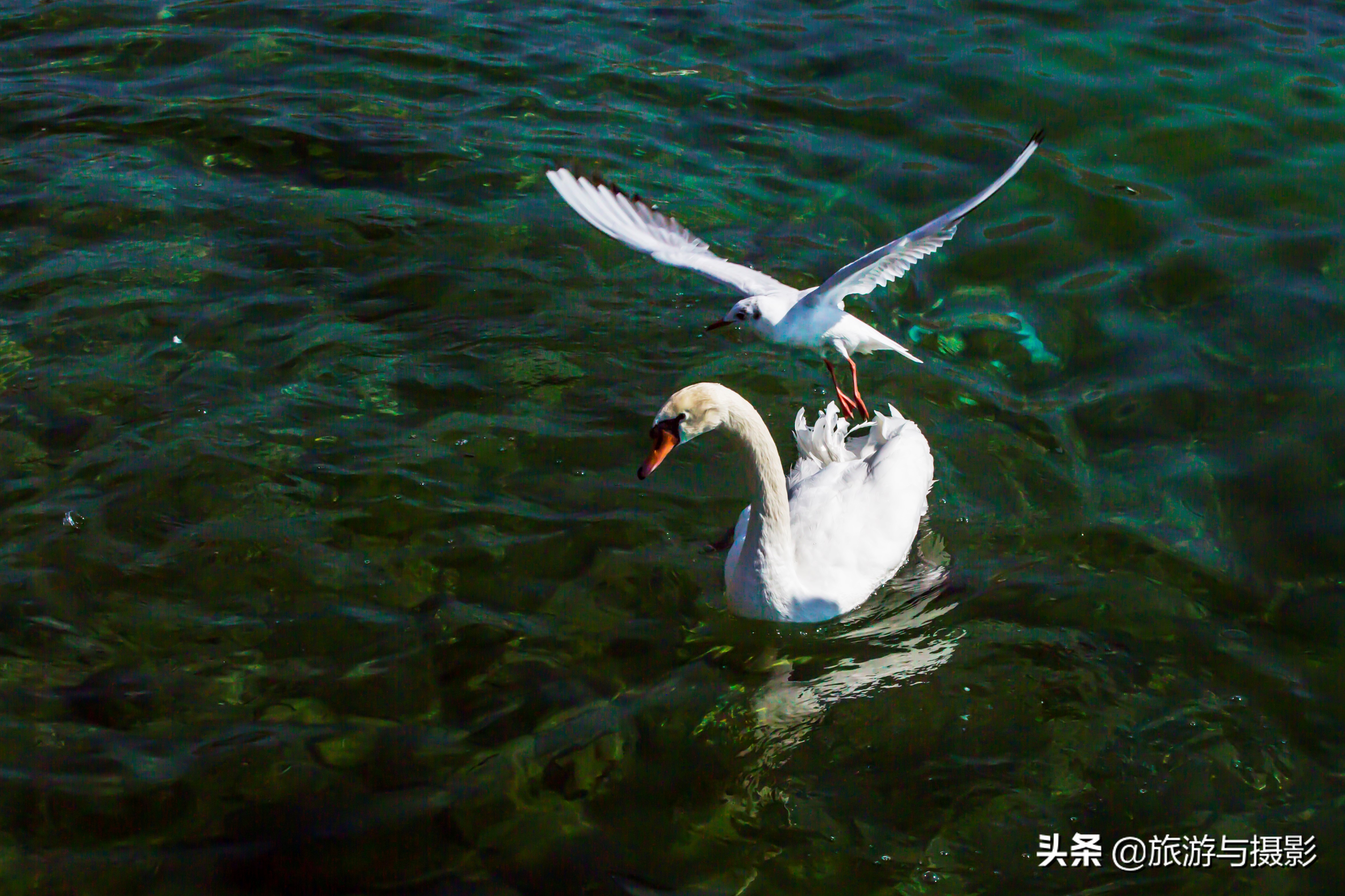 5万多人口的古城：安守一个“淡水海”，尽享一片“深邃蓝”