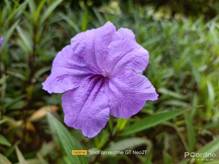 真我gtneo2t详细评测,真我gtneo2t评测