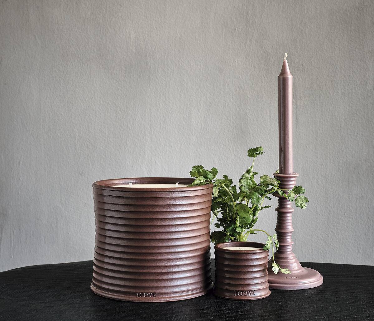 罗意威闻着像飘柔的香水,罗意威是沙龙香吗