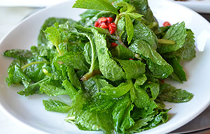 薄荷和猫薄荷是同一种植物吗,薄荷是什么颜色的茎