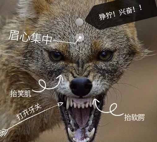 学声乐的崩溃瞬间,学习声乐每日必练技巧