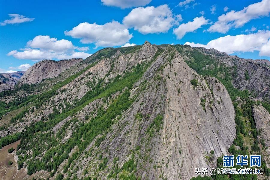 夏季的可可托海视频,夏天可可托海实拍