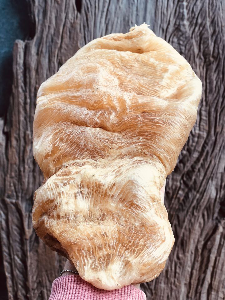 大门楼花胶海参,佛跳墙海参鲍鱼花胶功效