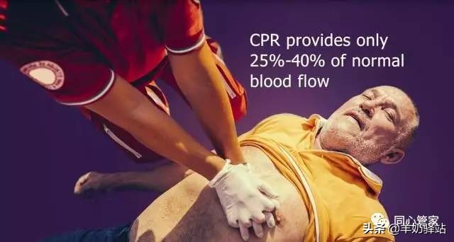 双人cpr心肺复苏术ppt,cpr心肺复苏标准操作流程