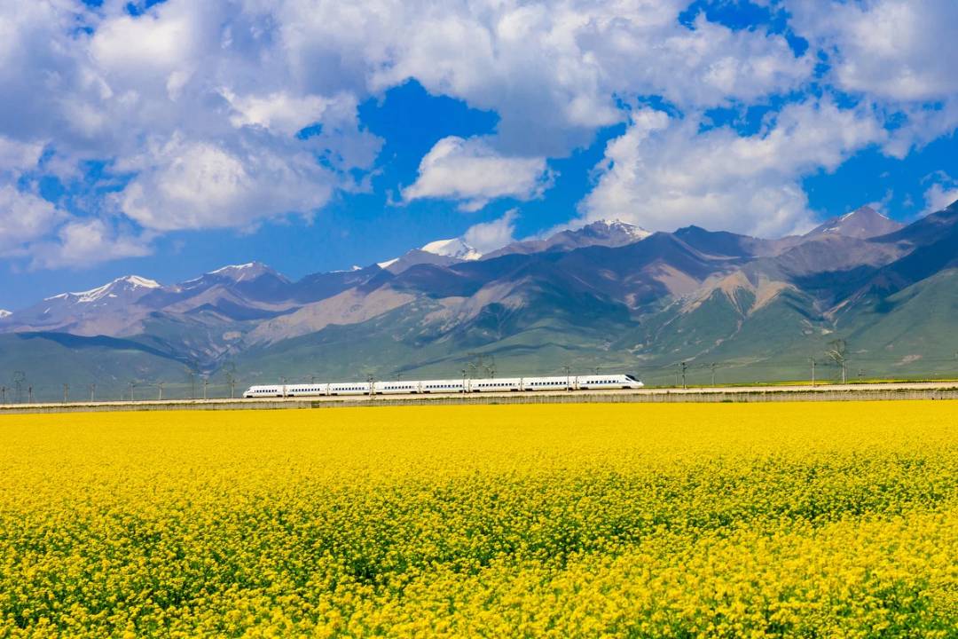 火车硬卧都有什么,火车硬卧小段子