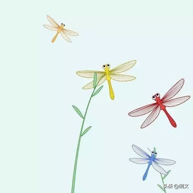 100个简笔画小动物超简单一年级,简笔画小动物100种可爱表情包