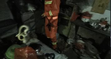 蛇出没！别怕，有“蓝朋友”保护你！