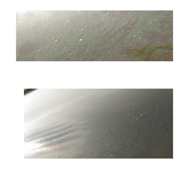 蓝藻治理成功案例,蓝藻水华案例