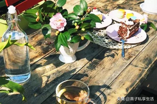 怎么打造低成本花园,怎么用几十元造花园