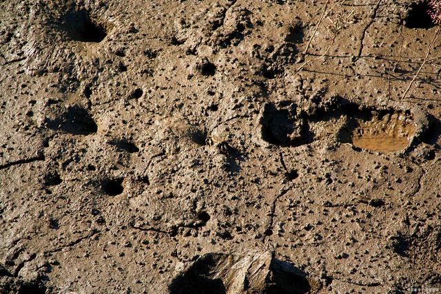 涓婃捣绂捐崳鍐滀笟绉戞妧,涓婃捣绂捐崳鍐滀笟绉戞妧鏈夐檺鍏徃鑲℃潈