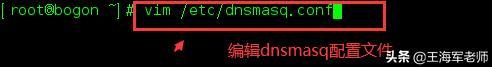 centos8搭建dns服务器详细教程,centos7dns服务器搭建