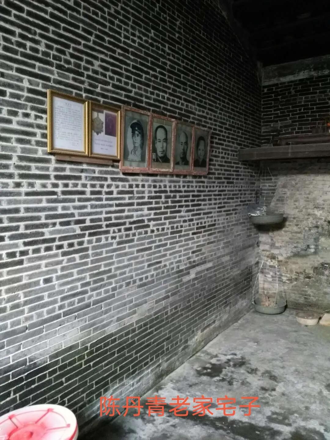 陈丹青原是台山人