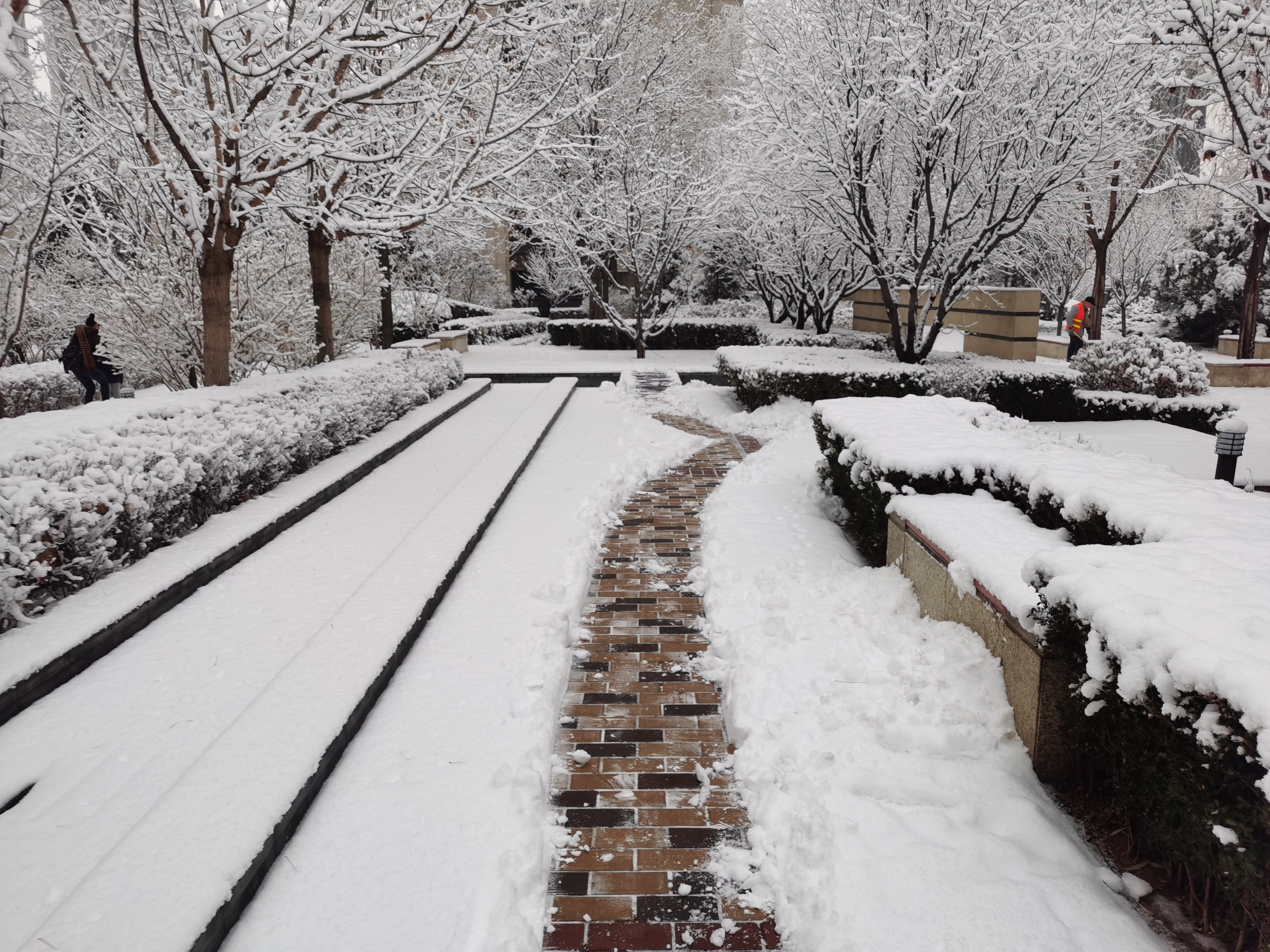 欠网贷20w向银行贷款还网贷可以吗,欠网贷20w向信用社贷款可以吗