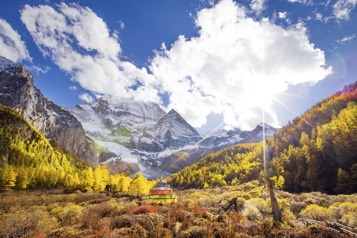如何消灭家中的蟑螂,家中常见小虫子蟑螂