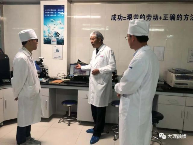 来思尔创始人杨子彪,劳动者风采完整版