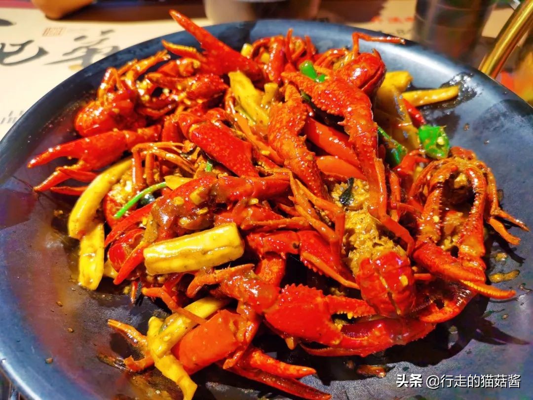 长沙一整栋楼的美食,长沙美食一条街的真实感受