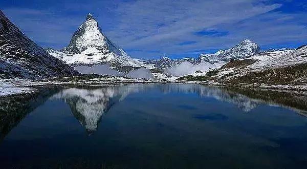 cips宠物展华元宠物用品有限公司,cips宠物展直播