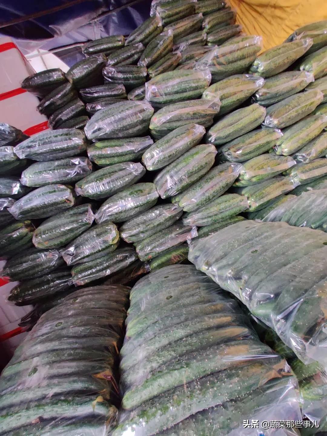 大白菜蔬菜今日菜价,大白菜最新批发价