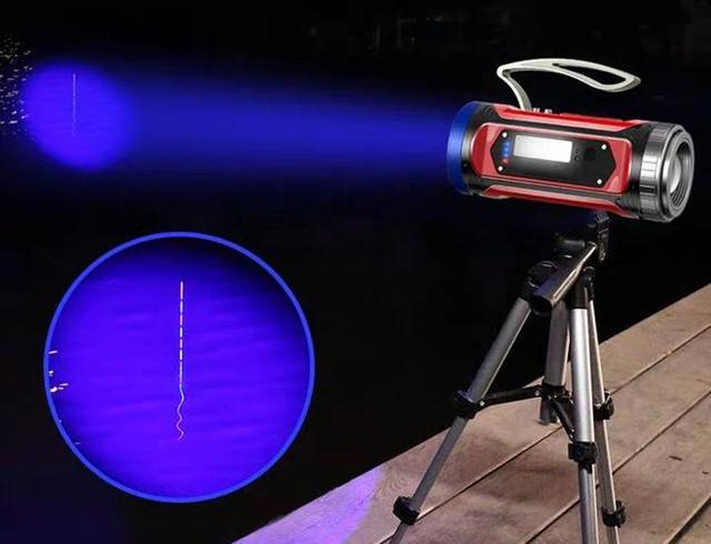 夏季钓夜鱼不吃钩怎么办,夏天夜钓天气凉爽钓不到鱼