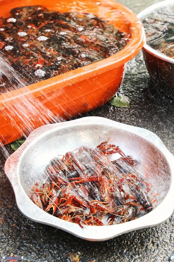 不容错过的小龙虾,不能错过的小龙虾