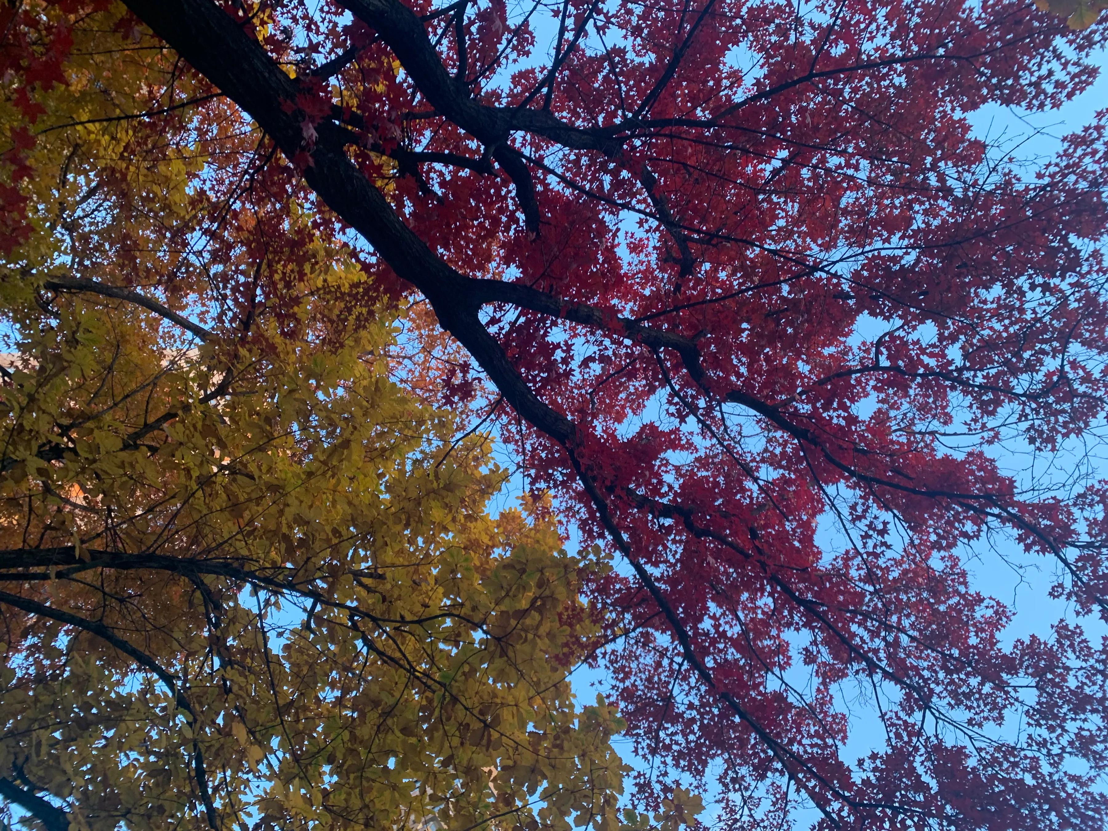 辽宁沈阳牛市,沈阳房地产最新走势2024