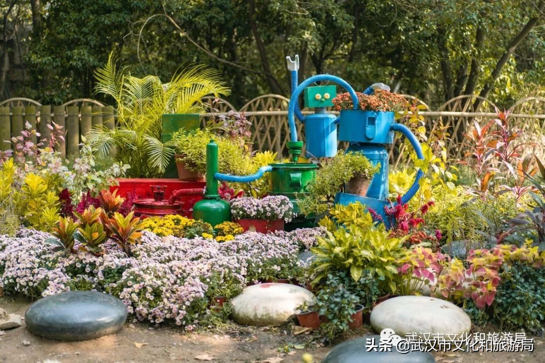 武汉菊花旅游攻略,花点时间武汉天地店