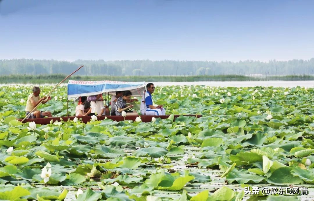 游遍商丘八县一市,北戴河旅游商丘