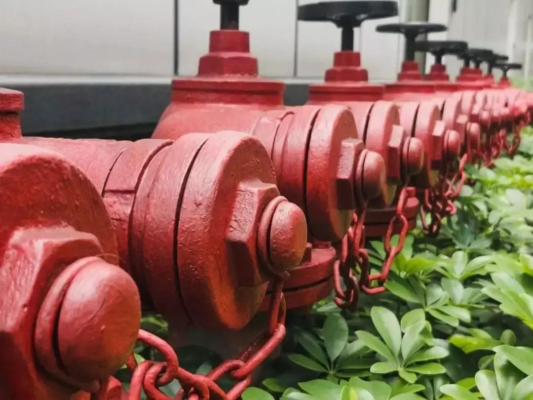 手机摄影拍照教程从零开始,手机拍照技巧和手机摄影分享