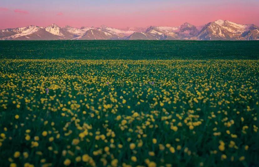 大美新疆伊犁草原,新疆美丽的伊犁草原