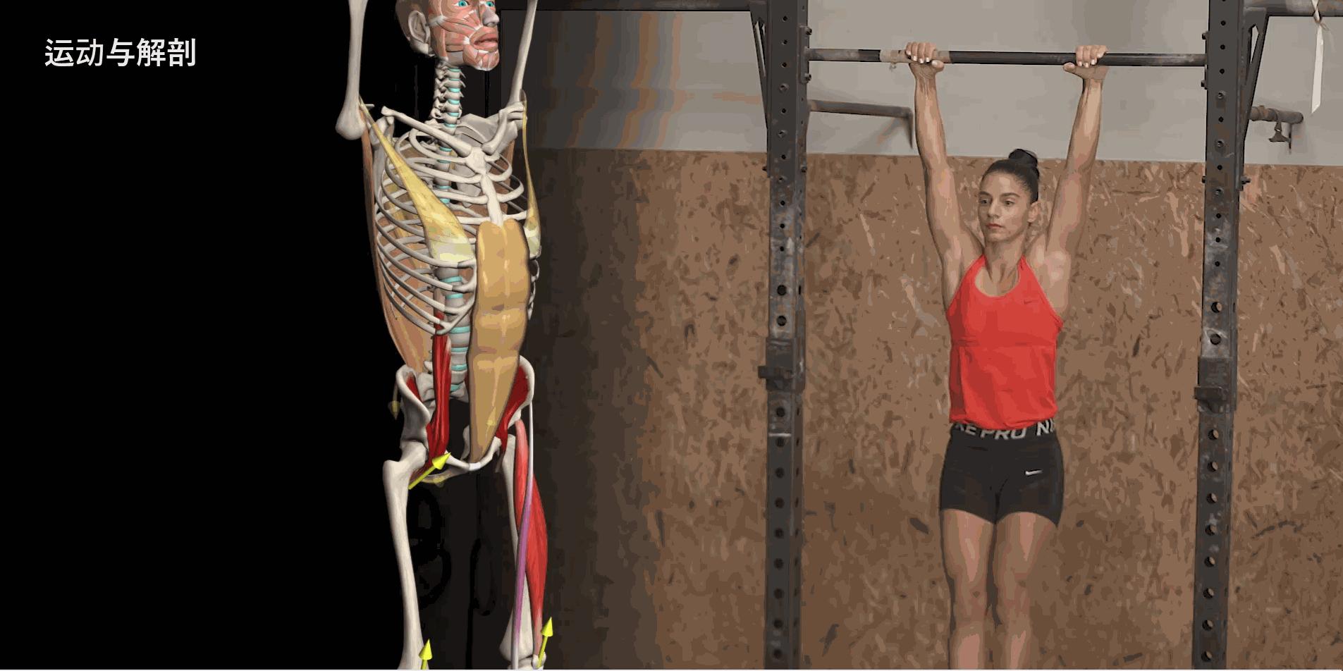 给大家示范一下练腹肌最好办法,又快又有效又简单的腹肌怎么练